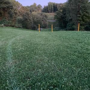 Meet your Posher, Dylan